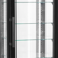 Armoire vitrée réfrigérée Froid négatif Ventilée L.650mm 340L ext.Noir/verre TEFCOLD_2
