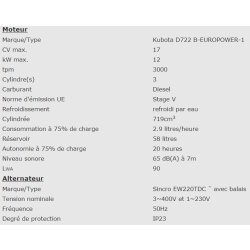 EPS230DXE - 951012305 - Groupe électrogène industriel Europower - moteur essence et diesel, 3000tpm, 50Hz, 4 temps