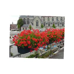 Jardinière suspendue en polyéthylène recyclé - 21 coloris - Avec bac de réserve d'eau - Fixation adaptable pour barrières