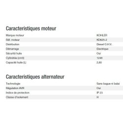 Diesel 20000 ta xl avr export groupe électrogène - kohler - puissance max (kw) 15.20
