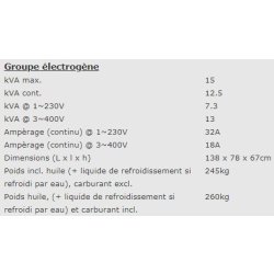 Groupe électrogène industriel EPS15054TE - 940001513 - Europower - GW661, 3000tpm, 50Hz, 4 temps, IP54