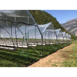 Serre à travées multiples à structure gothique conçue pour les régions soumises à de fortes chutes de neige - Multieasy