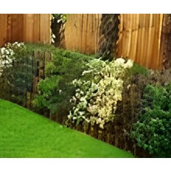 Betoflor ® hauteur maximum : 2,40 m