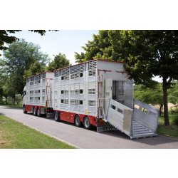 Rba32 - remorque bétaillère - carrozzeria pezzaioli - essieux jumelés simples fixes de 10000 kg