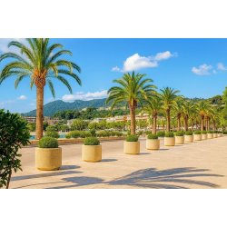 Jardinière pour espace public ronde en béton - Article 230 - Diamètre et hauteur variables - Résistante aux climats marins et personnalisable