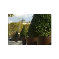 Jardinière urbaine Vanta - design en acier avec bacs amovibles galvanisés en option