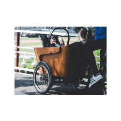 Triporteur électrique Babboe Carve-E - Banc pour 4 enfants - Moteur GWA 36V 250W - Dérailleur Shimano 7 vitesses