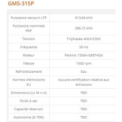 Groupe électrogène industriel GMS-315P - Generac - 315 kVA - Série GMS Standard - Diesel