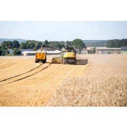 Moissonneuse batteuse CX8.80 Tier 4B - New Holland - trémie 11 500 L - largeur de coupe 6,10 à 12,50 m