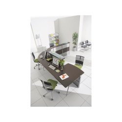 Banque d'accueil Obade Wengé - Référence OBADE 21 - Fabricant CLEN - Modules assis et debout