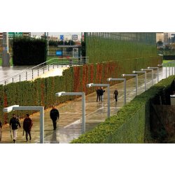 Lampadaire urbain Vía Láctea - fluorescent 58W - acier galvanisé - hauteur 3,65 m