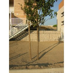 Mur de clôture - Gabion STONEBOX® avec panneau en U et remplissage en pierre granulométrie 80/150 mm