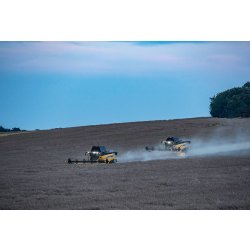 Moissonneuse batteuse CX7.90 Tier 4B - New Holland - Trémie 10 000L - Largeur de coupe Varifeed 4,88-9,15m