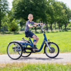 Tricycle Midi Van Raam - Tricycles individuels - Stabilité optimale et personnalisation avancée