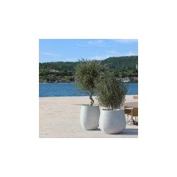 Jardinière en béton Kruk - Jardinière remarquable pour espaces publics et jardins