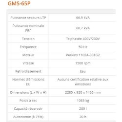 Groupe électrogène industriel GMS-65P - Generac - 66,9 kVA - Série GMS Standard