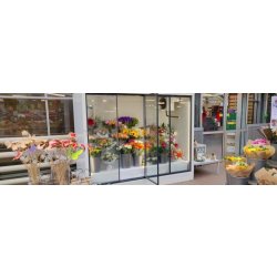 Libre-Service Climatique Casaflor LSV - 2 ou 4 portes vitrées - dimensions 1380x1070x2130 et 2630x1070x2130