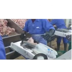 Ensacheuse semi-automatique pour poulets entiers - jusqu'à 700 pcs/heure - RÉF. DBT01-ET