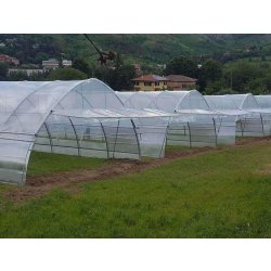 Serre à travée unique  idéale pour les agriculteurs et les amateurs - Tunnelart