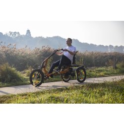 Tricycle Easy Rider pour adultes avec cadre unique et siège confortable