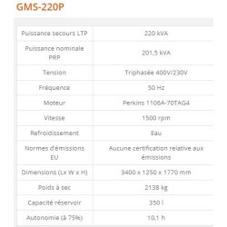 GMS-220P - Groupe électrogène industriel 220 kVA - Generac - Série GMS Standard