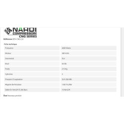 Dev-cng-2.8 - Compresseur de gaz naturel - Nardi Compressori France - Débit 10 Nm3/h - Certification ATEX