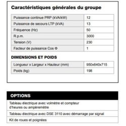 Al 1200-ca groupe électrogène - inmesol - puissance continue prp (kva/kw) 12