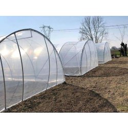 Serre tunnel  à travée unique - Montage et démontage rapides - conçue pour la Production horticole - Tunneleasy