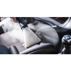 Générateur de vapeur professionnel emilio plus car