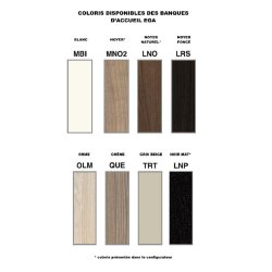 Banque d'accueil Ega - Design et fonctionnelle - Noir, 275, Non, noyer-MN02
