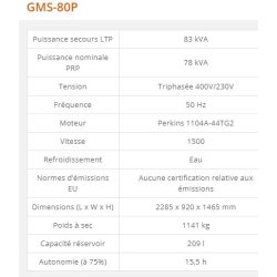 GMS-80P - Groupe électrogène industriel Generac 83 kVA - Série GMS Standard - Version ouverte ou insonorisée