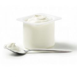 Cuve de pasteurisation / yaourtière - Capacité 45 litres - RÉF. DCX01-ET