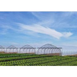 Serre à travée unique idéale pour la production horticole et le stockage de matériel agricole - Easyart