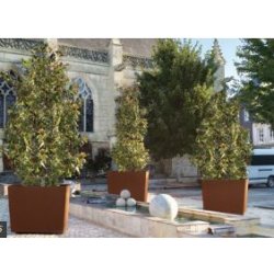 Bac à palmier OLBIA - Design épuré pour univers classiques et contemporains - Châssis et habillage en acier galvanisé