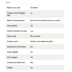 Vélo cargo électrique stable et polyvalent BIG-E BABBOE