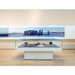 VITRINE MUSéOGRAPHIQUE POUR CONSERVATION PRéVENTIVE éTANCHE AVEC CONTRôLE CLIMATIQUE