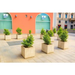 Jardinière carrée pour collectivités en béton