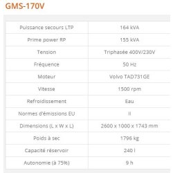 GMS-170V - Groupe électrogène industriel Generac 164 kVA - Série GMS Standard - Diesel