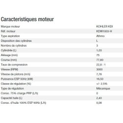 Power xp-k16h-alize groupe électrogène - kohler - tension de référence (v)	400/230