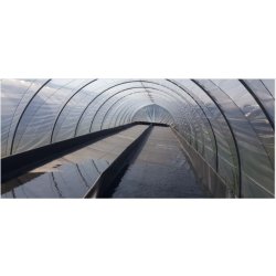 Serre tunnel pour maraichers - Largeur 4m50 - Hauteur 2,60m - Natural