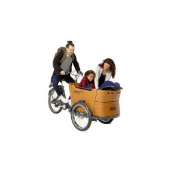 Triporteur électrique Babboe Curve-E - Transport jusqu'à 4 enfants - 7 vitesses - Freins hydrauliques