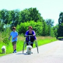 Tricycle à propulsion par les pieds - frame runner PETRA