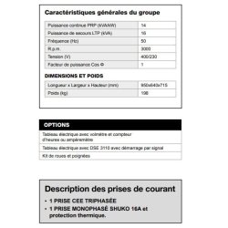 AL 1500-E Groupe électrogène - Inmesol - Puissance de secours 16 kVA - Châssis tubulaire pratique