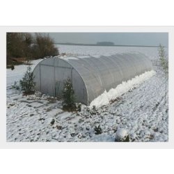 Serre tunnel maraîchère professionnelle à bâche enterrée - Longueur 6 m - TMC60010
