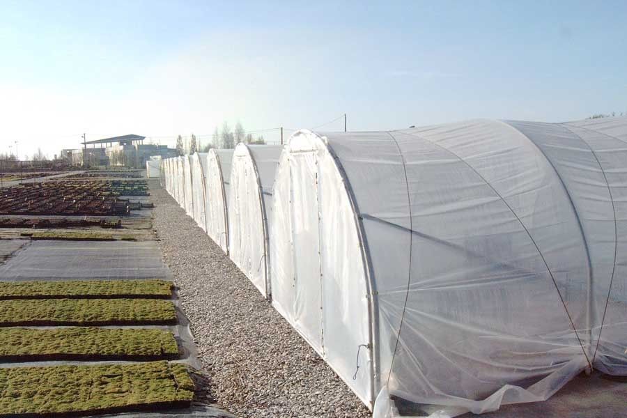 Serre tunnel à pied droit destinée aux horticulteurs et pépiniéristes - Longueur 6m - Val de Loire Pro 4 m_3