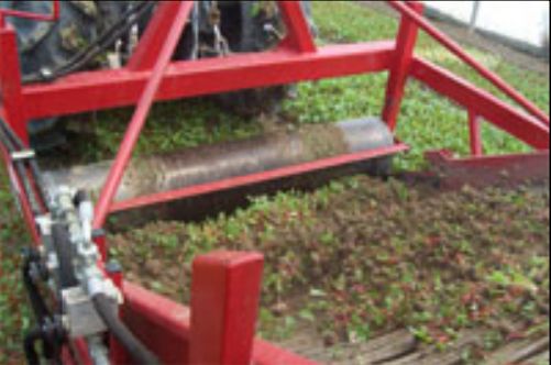 Récolteuse automotrice ARR - Autran & Mab - Largeur de travail de 1 à 1,60 m, adaptée aux résidus de culture_3