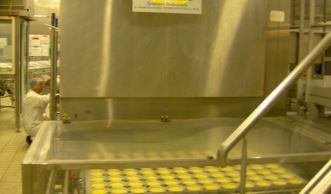 Tunnel de dorage et de gratinage infrarouge - pour l'industrie agro-alimentaire_3