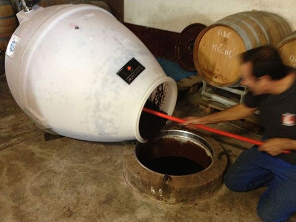 Barrique ovoïde pour préservation des arômes et mise en marché rapide