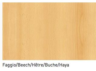 Table de réunion ovale Meeting - Quadrifoglio. - Argent Ral 9006, 200, Hêtre_3