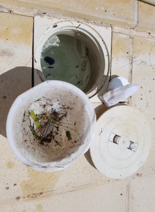 Safeskim - pré-filtres d'eau - safe skim' - capacité de filtration : 250 microns_3